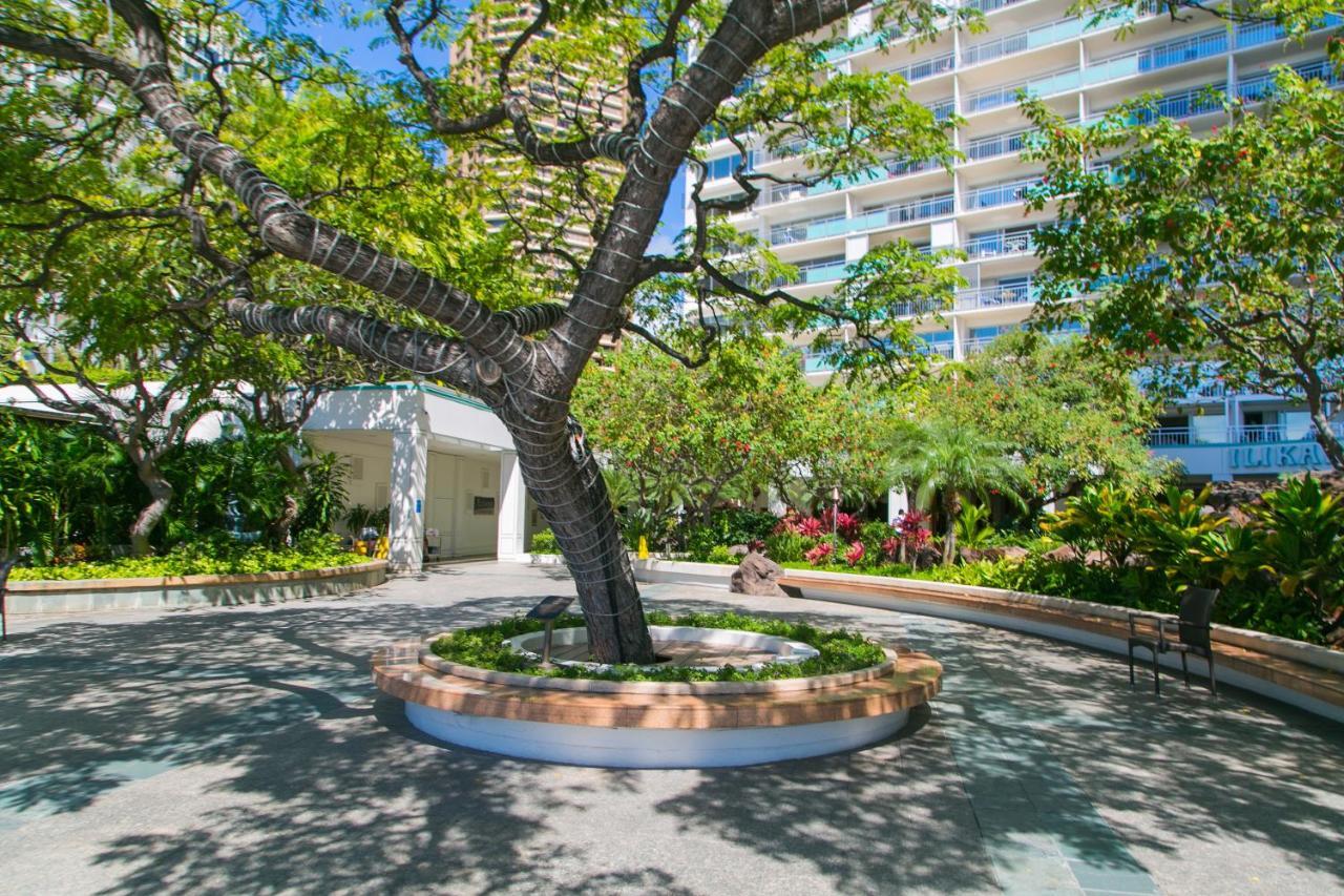 Ilikai Tower 1538 Lagoon View 1Br Honolulu Eksteriør billede